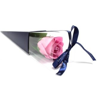 Seifenblume Rose Rosa