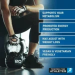 Applied Nutrition Acetyl L-Carnitin Pulver 150 g – 750 mg N-Acetyl-L-Carnitin pro Portion – Honigbee Applied Nutrition Acetyl L-Carnitin Pulver 150 g – 750 mg N-Acetyl-L-Carnitin pro Portion