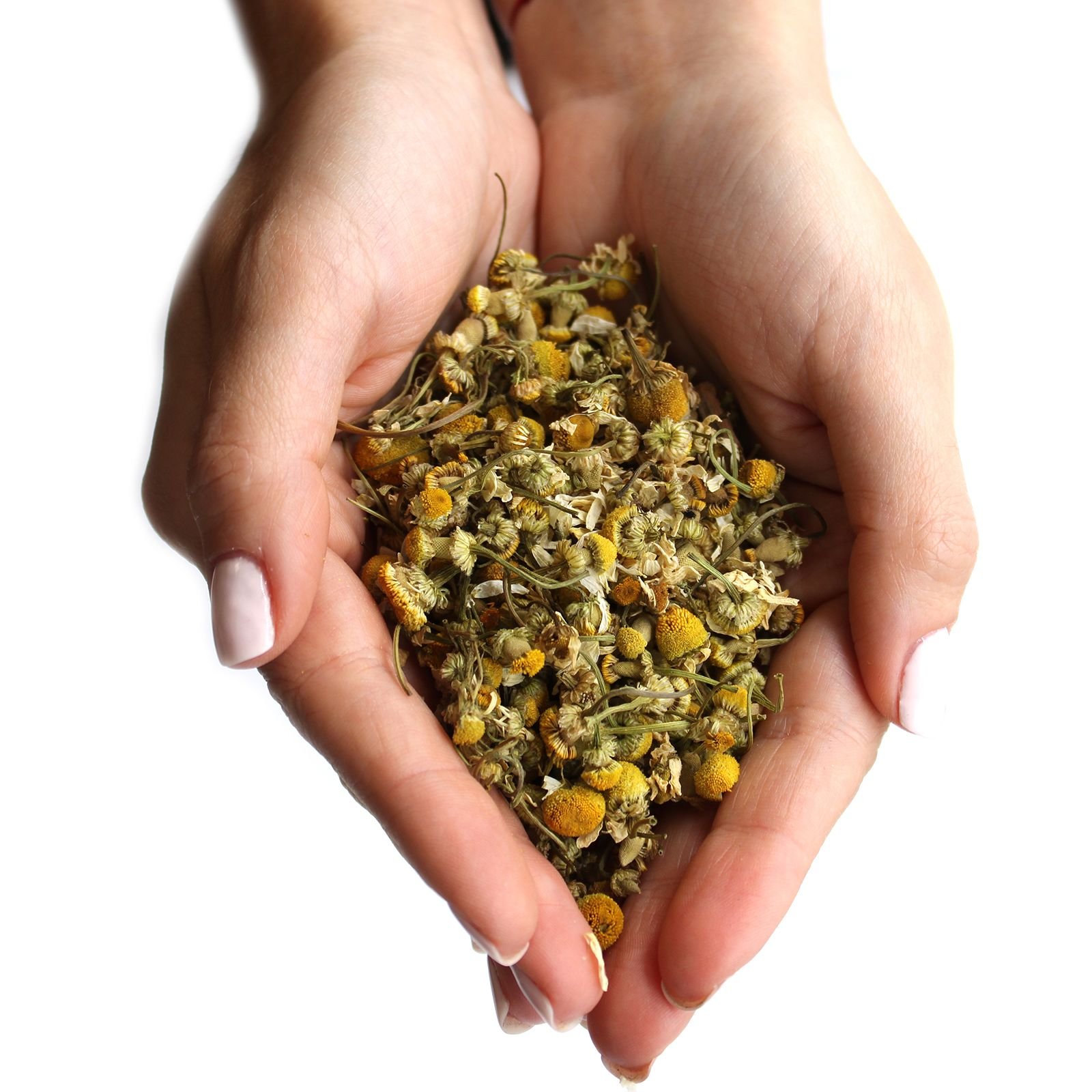 bG9jYWw6Ly9tZWRpYS85Sy8yRS82MFIzMEMxRzY0VzMyRTlLL2EzZmIwZDcxLmpwZWc-1.jpg Kamillenblüten getrocknet 1 kg – Ganze Kamillenblüten für Deko, Potpourri, Seife & Badesalz