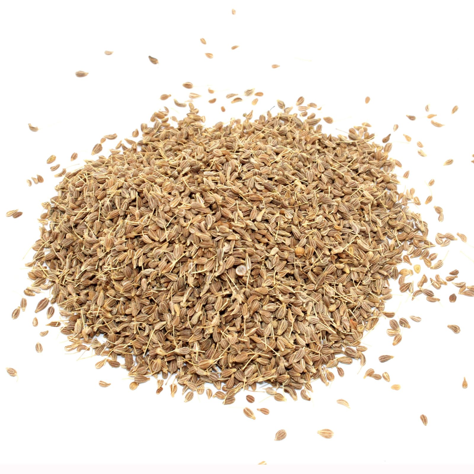 Anissamen 1 kg getrocknet Anissamen 1 kg getrocknet