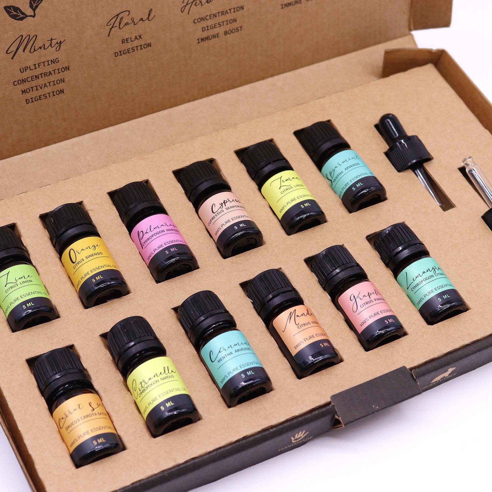 Ätherische Öle Set 12x 5 ml – Summer Aromatherapie Set mit 2 Pipetten