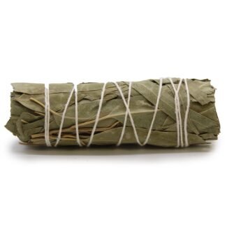 Weißer Salbei Eukalyptus Räucherbündel 10 cm