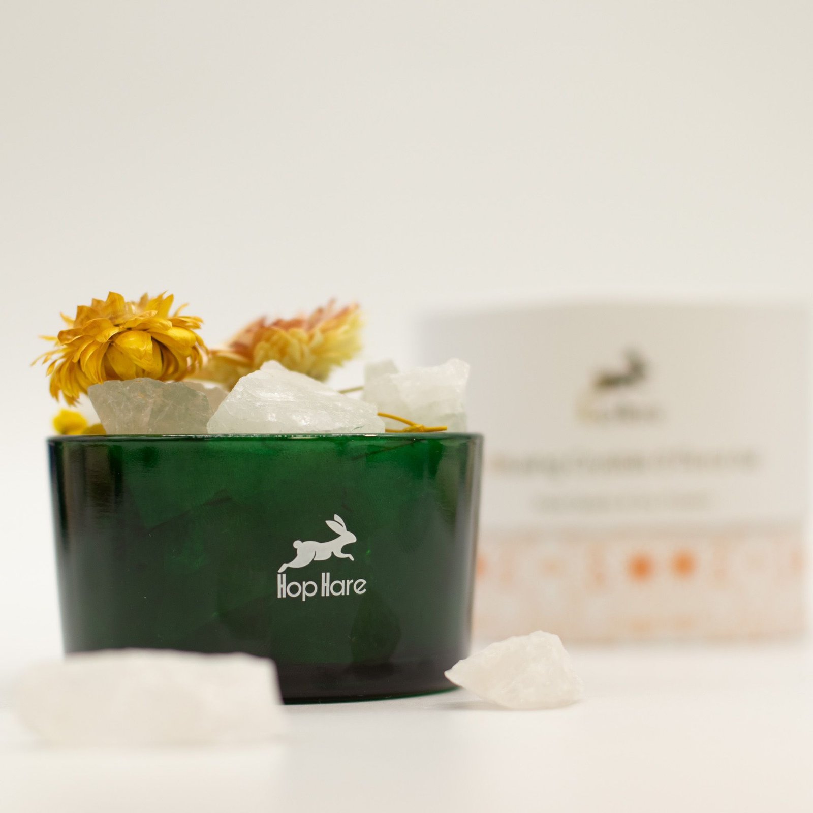 Bergkristall Duftkristalle Set The Lion – Edelsteine & Trockenblumen im Glas