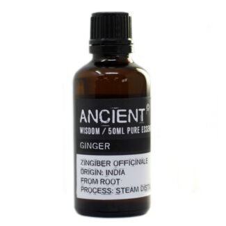 Ingwer ätherisches Öl 50 ml