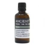 Basilikum ätherisches Öl 50 ml