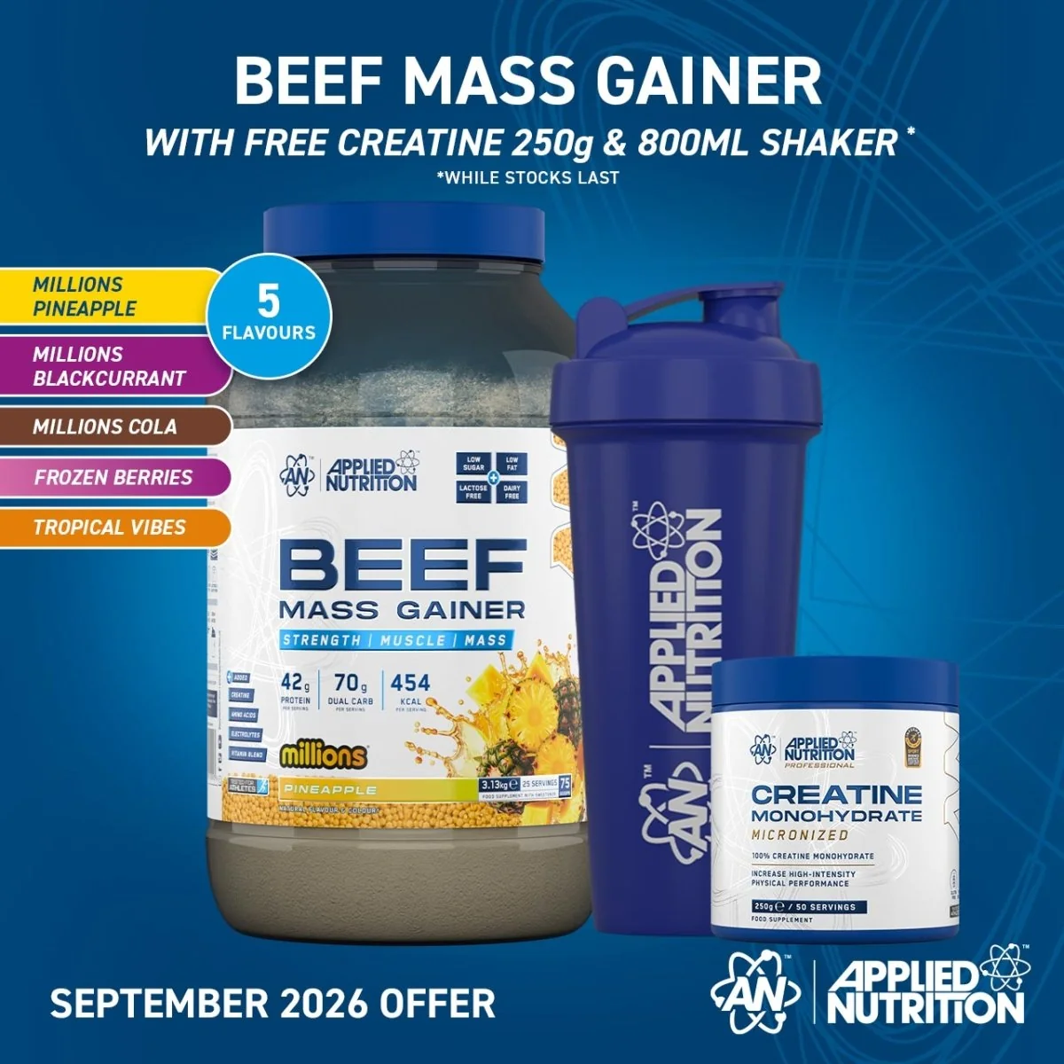 Mass Gainer Tropische Früchte 3130 g – Applied Nutrition Beef Mass Gainer