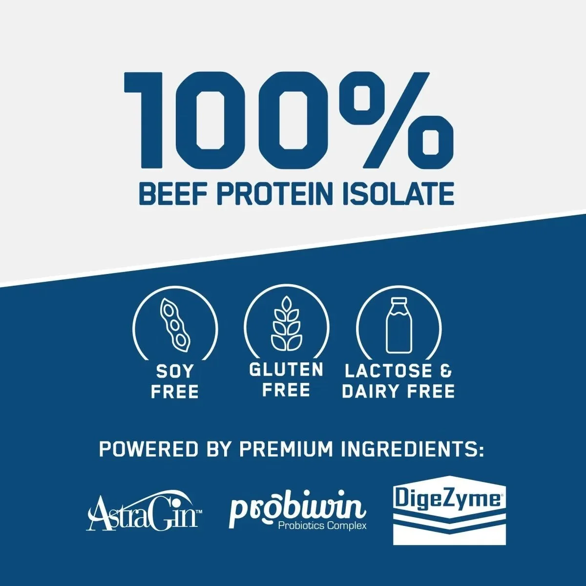 Mass Gainer Tropische Früchte 3130 g – Applied Nutrition Beef Mass Gainer
