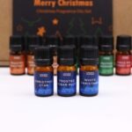 Weihnachtsduftöl Set 12 x 5 ml – Festliche Duftöle mit Zimt, Lebkuchen & Tannenduft