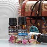 Lavendelöl Frankreich 10 ml – Ätherisches Lavendelöl für Aromatherapie & Diffuser – Honigbee Lavendelöl Frankreich 10 ml – Ätherisches Lavendelöl für Aromatherapie & Diffuser
