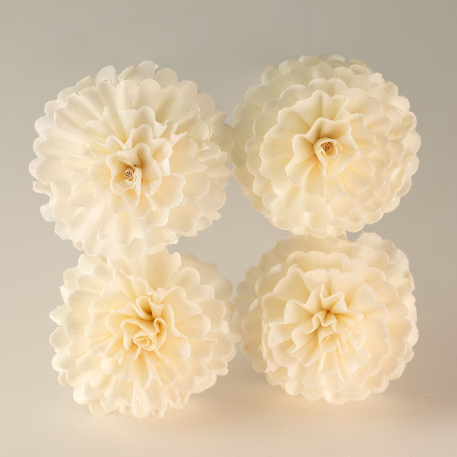 Duftdiffuser Blumen Nelke 4 Stück – Natürliche Solaholz Duftblumen mit Duftstäbchen
