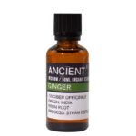 Ingwer Bio ätherisches Öl 50 ml – Bio Ingweröl für Aromatherapie & Duftanwendungen – Honigbee Ingwer Bio ätherisches Öl 50 ml