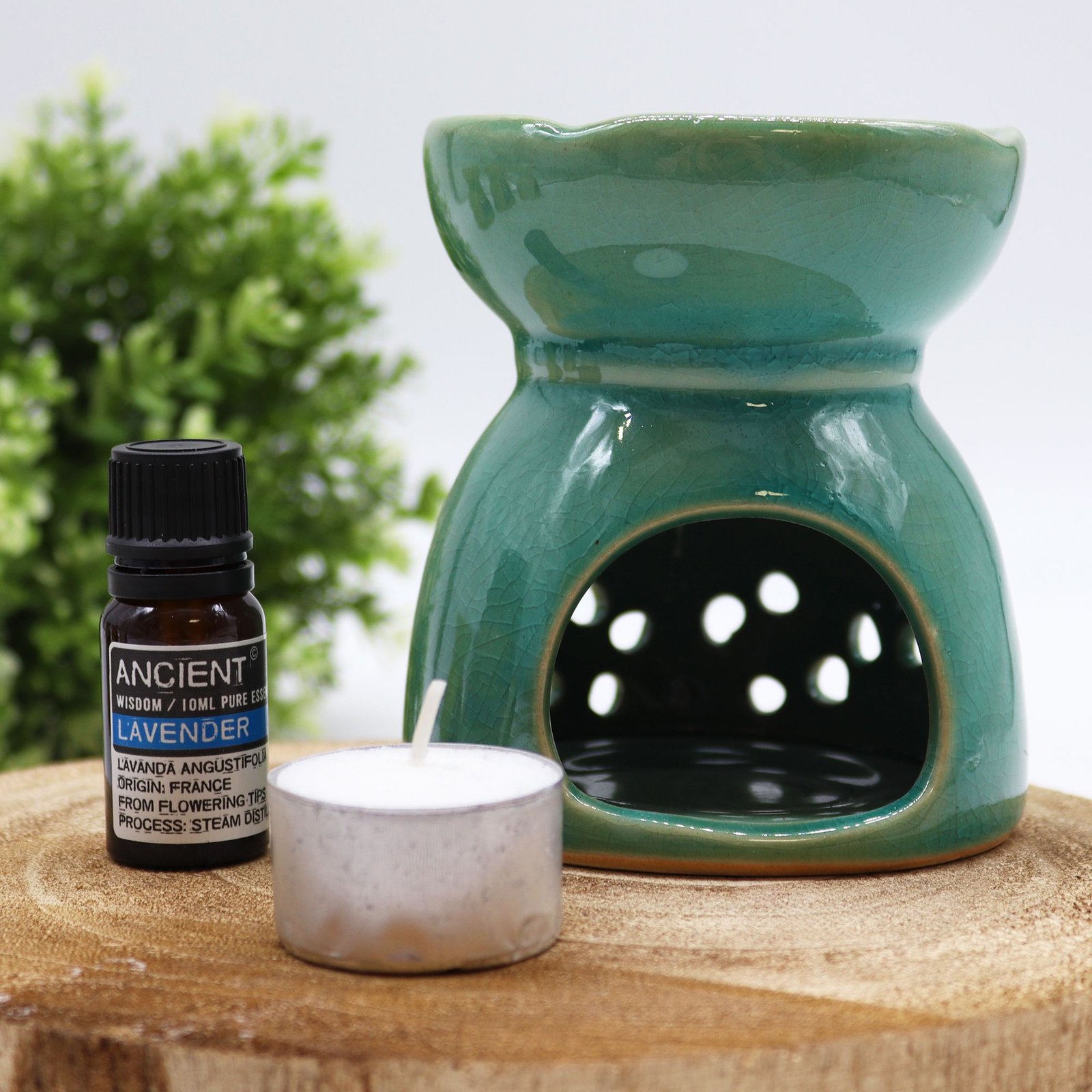 bG9jYWw6Ly9tZWRpYS85Sy9KRC82MFIzMEMxRzZNUktKRDlLLzA4Y2E5ZTRlLmpwZWc.jpg Duftlampe Lebensbaum Blau aus Keramik – Aromalampe für Duftöle und Duftwachs