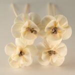 Duftdiffuser Blumen Lilie 4 Stück – Natürliche Solaholz Duftblumen mit Bambusstäbchen