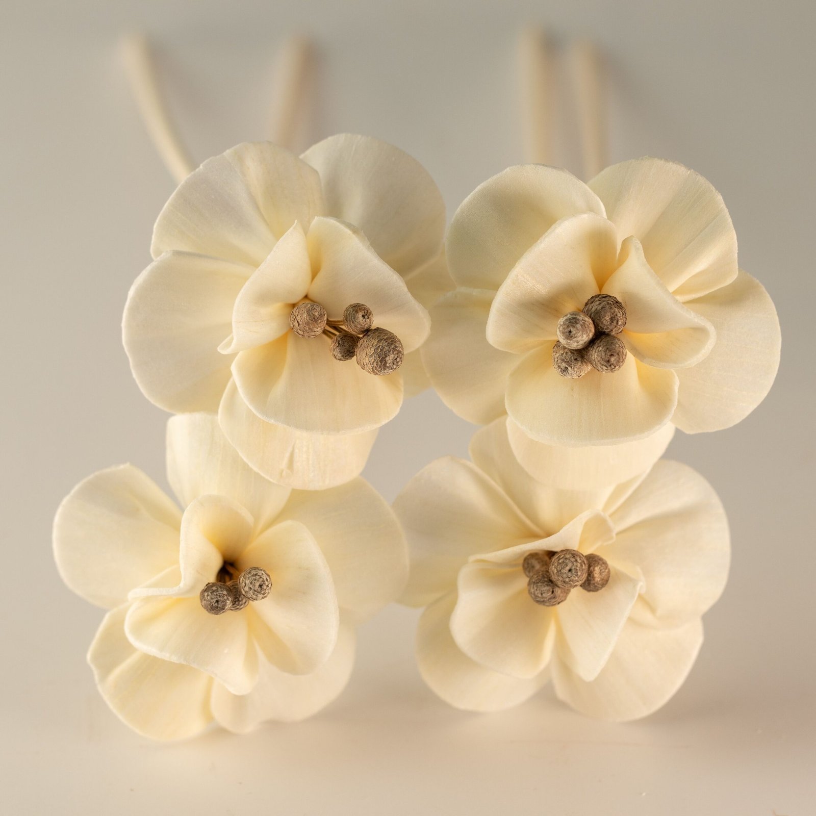 Duftdiffuser Blumen Lilie 4 Stück – Natürliche Solaholz Duftblumen mit Bambusstäbchen