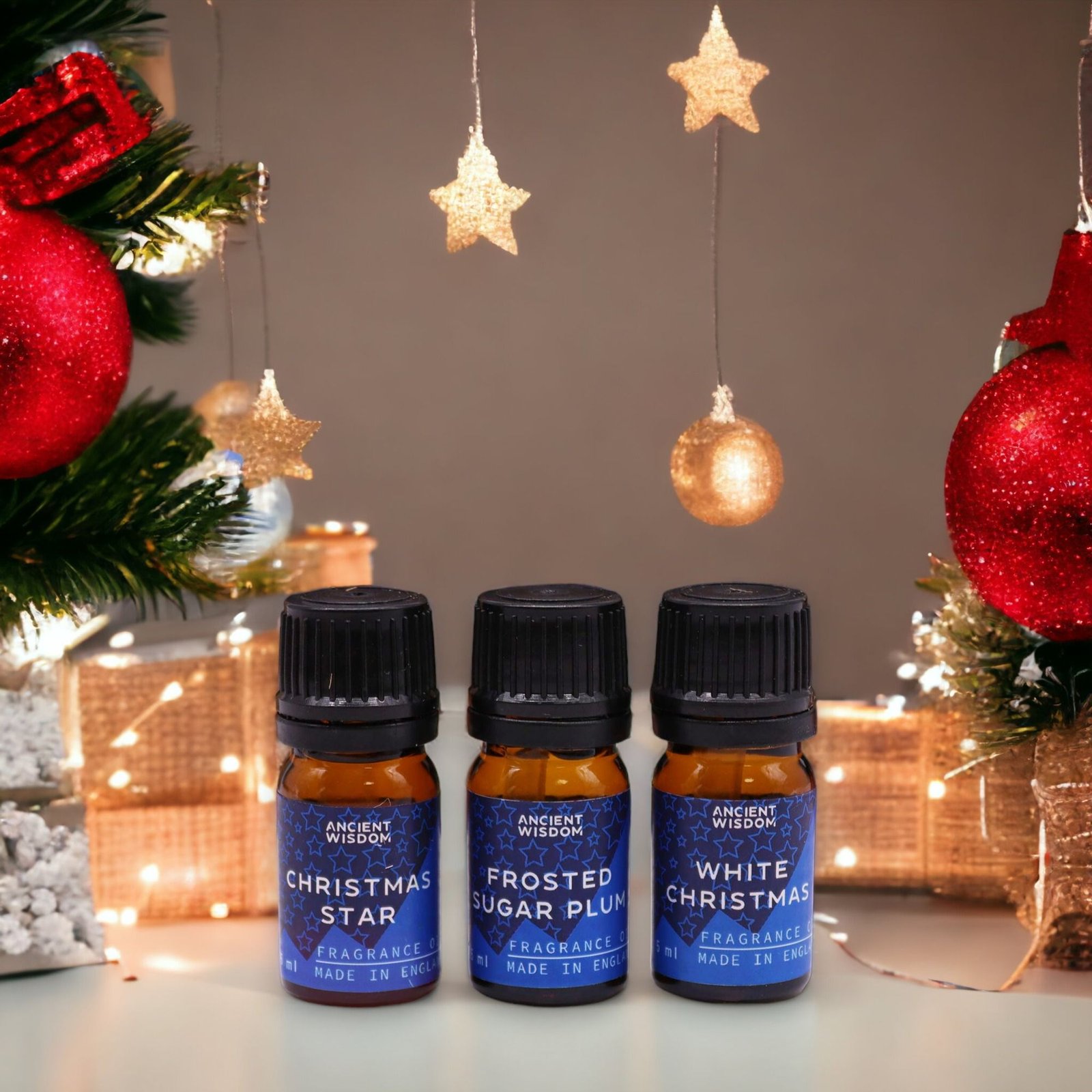 Weihnachtsduftöl Set 12 x 5 ml – Festliche Duftöle mit Zimt, Lebkuchen & Tannenduft