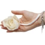 Duftdiffuser Blumen Große Lotusblüte 4 Stück – Solaholz Duftblumen mit Baumwollschnur