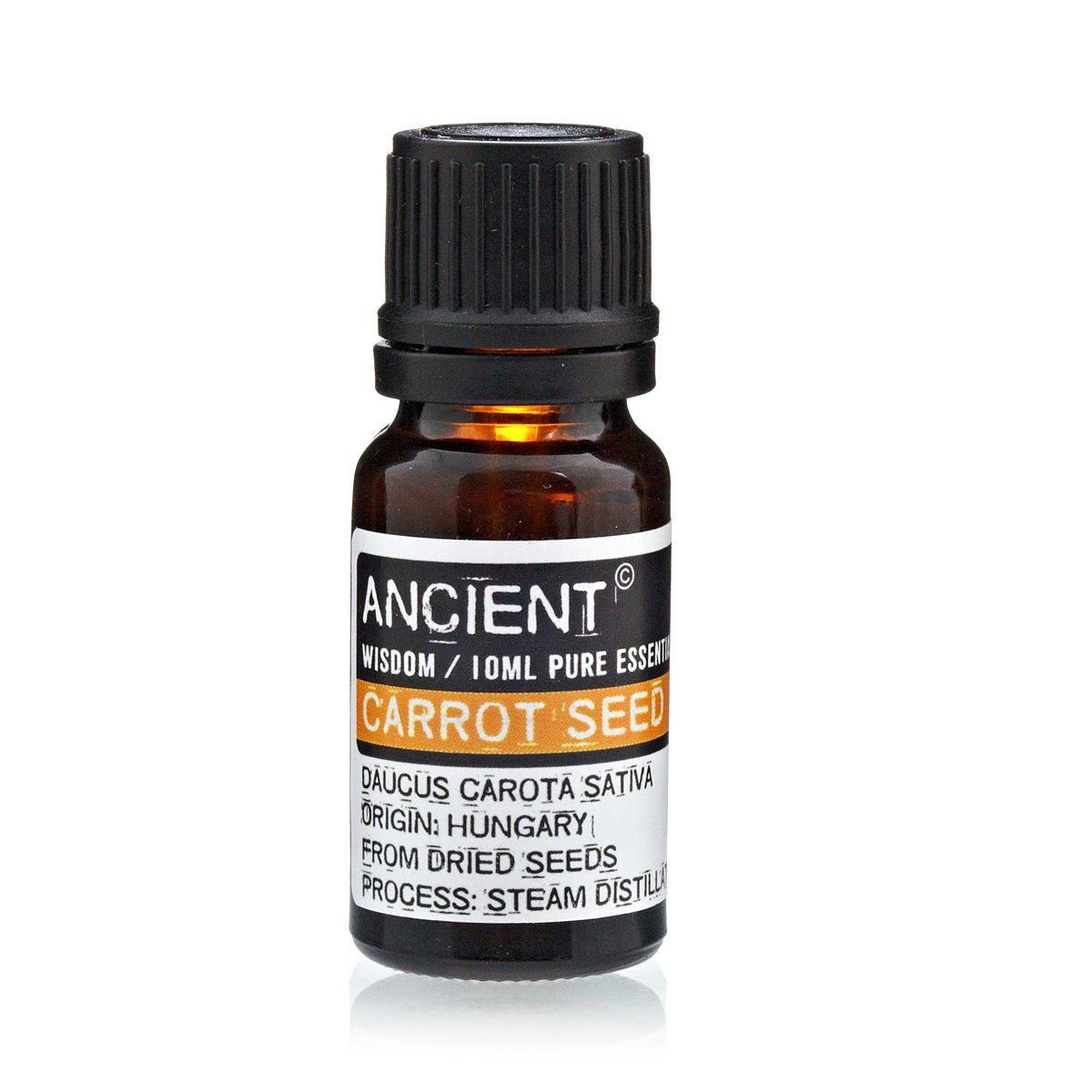 Karottensamenöl 10 ml