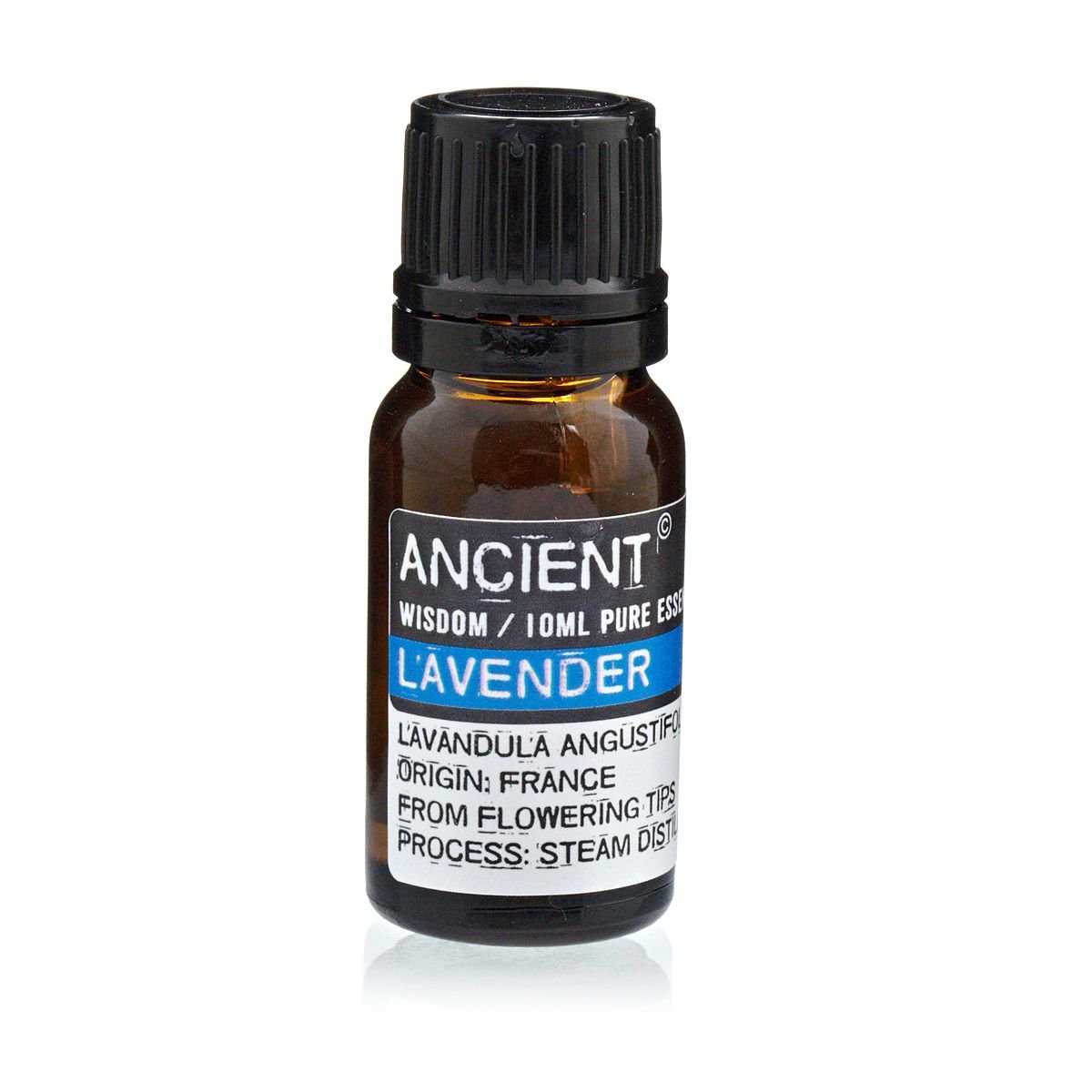 bG9jYWw6Ly9tZWRpYS85Ui9KRC82MFIzMEMxRzY0VktKRDlSLzY5MjZiNWY0LmpwZWc.jpg Lavendelöl Frankreich 10 ml – Ätherisches Lavendelöl für Aromatherapie & Diffuser