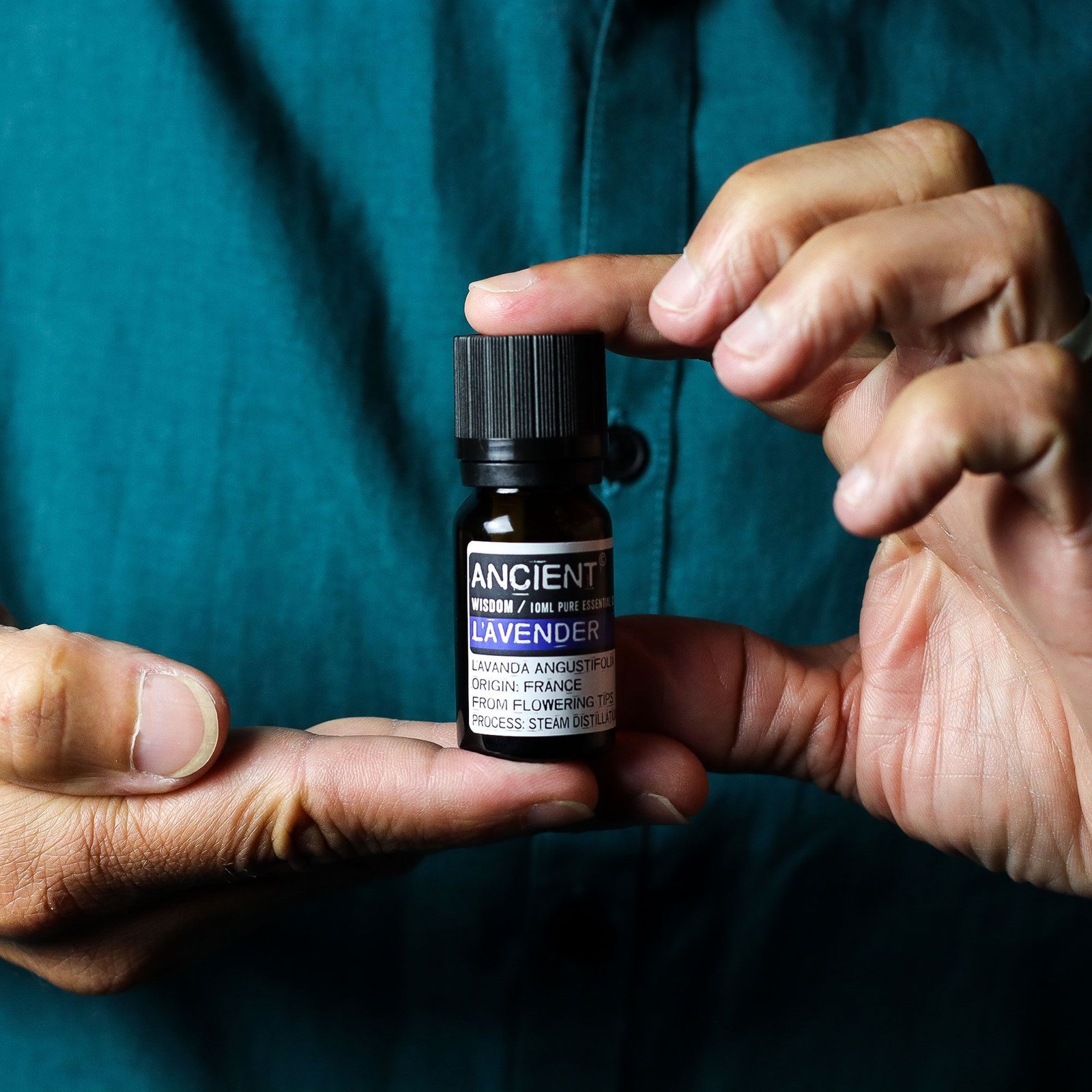 bG9jYWw6Ly9tZWRpYS85Uy8wQy82MFIzMEMxSjY0UjMwQzlTL2FkM2U1YThkLmpwZw.jpg Lavendelöl Frankreich 10 ml – Ätherisches Lavendelöl für Aromatherapie & Diffuser
