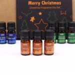 Weihnachtsduftöl Set 12 x 5 ml – Festliche Duftöle mit Zimt, Orange, Sandelholz & Weihrauch – Honigbee Weihnachtsduftöl Set 12 x 5 ml – Festliche Duftöle mit Zimt, Orange, Sandelholz & Weihrauch