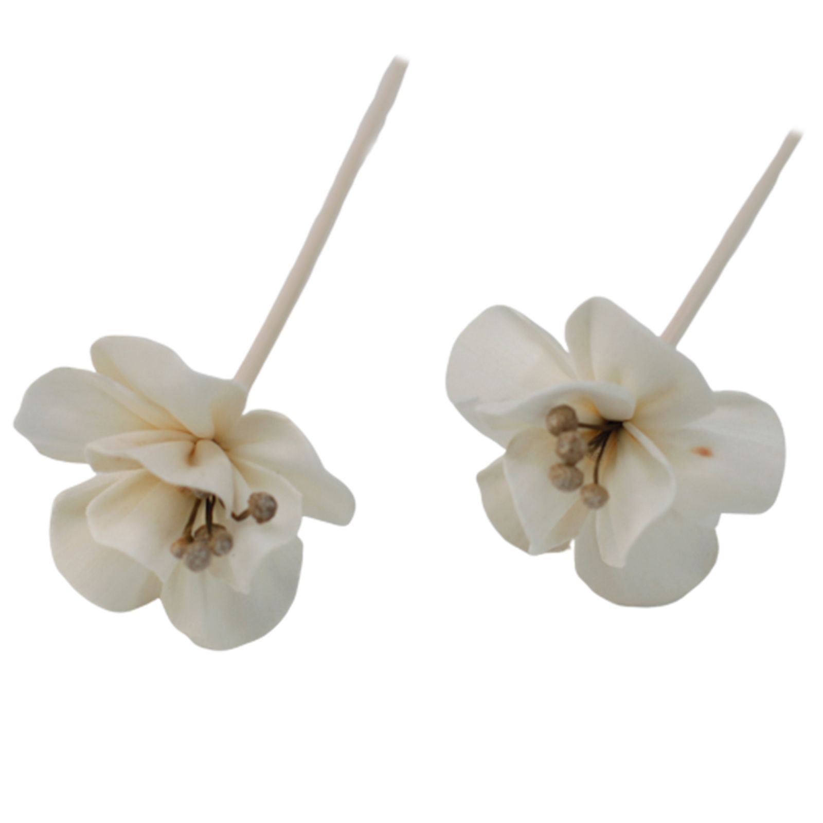 Duftdiffuser Blumen Lilie 4 Stück – Natürliche Solaholz Duftblumen mit Bambusstäbchen