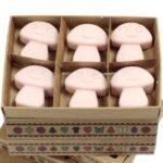 Duftwachs Old Ginger 6 Stück – Würzige Wax Melts aus Sojawachs als Geschenkset