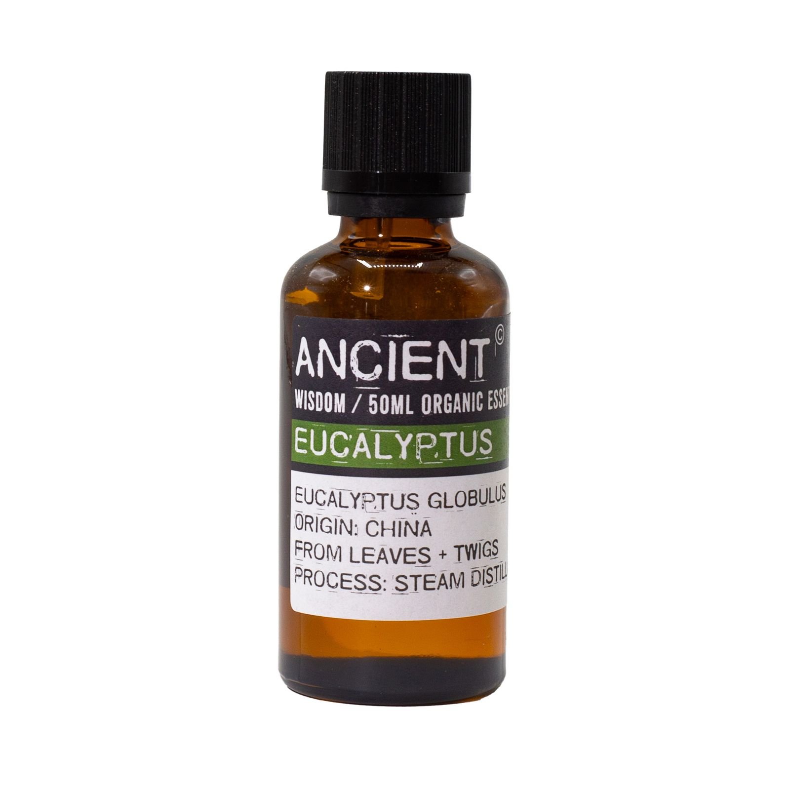 bG9jYWw6Ly9tZWRpYS8xUi8wRS82MFIzMEMxSjZHVjMwRTFSLzlhYjYzZTMzLmpwZw.jpg Eukalyptus Bio ätherisches Öl 50 ml – Bio Eukalyptusöl für Aromatherapie & Duftanwendungen