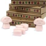 Duftwachs Old Ginger 6 Stück – Würzige Wax Melts aus Sojawachs als Geschenkset