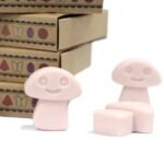 Duftwachs Old Ginger 6 Stück – Würzige Wax Melts aus Sojawachs als Geschenkset