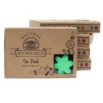 Duftwachs Hidden Garden 6 Stück – Blumige Wax Melts aus Sojawachs als Geschenkset – Honigbee Duftwachs Hidden Garden 6 Stück – Blumige Wax Melts aus Sojawachs als Geschenkset