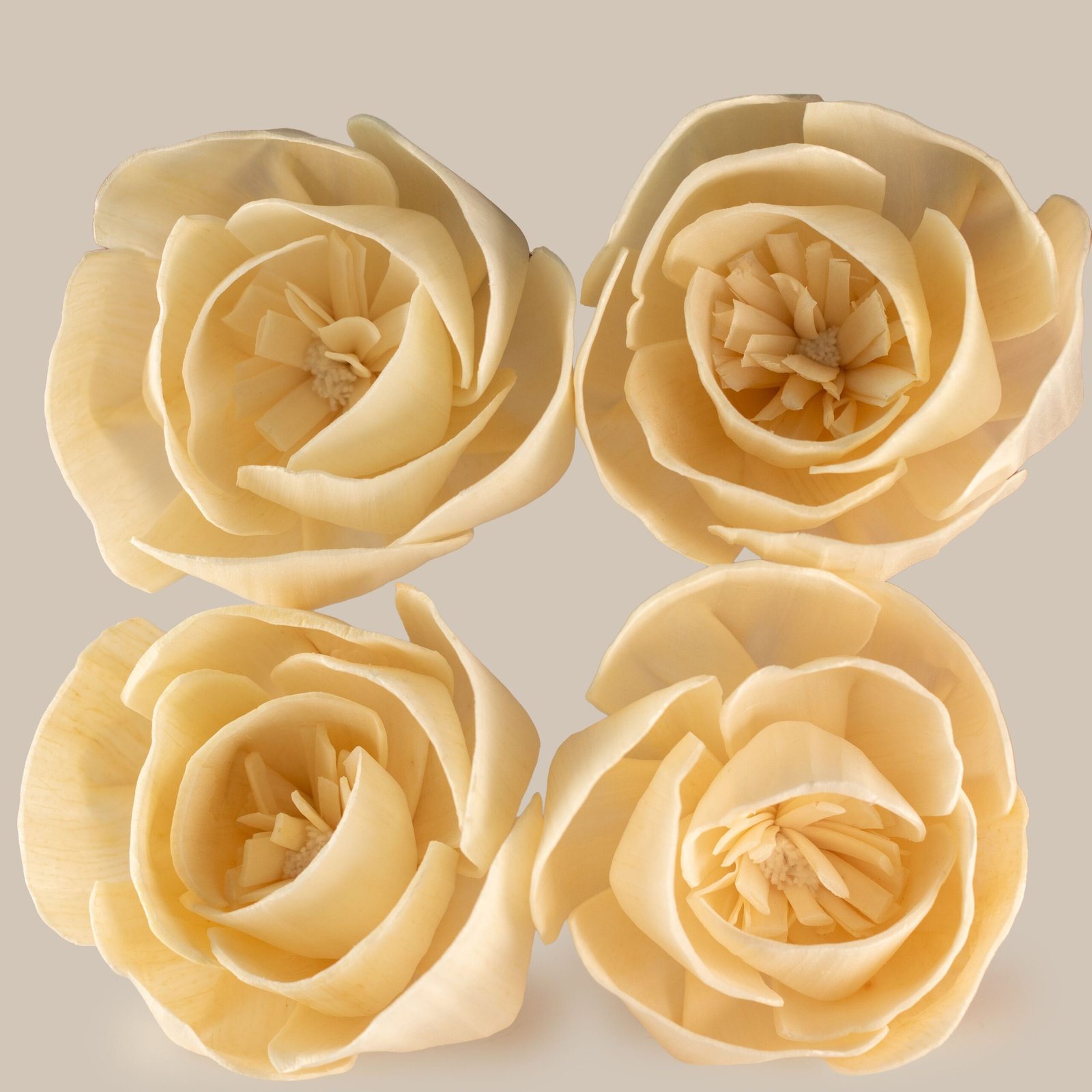 Duftdiffuser Blumen Große Rose 4 Stück – Solaholz Duftblumen mit Baumwollschnur