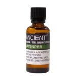 Lavendel Bio ätherisches Öl 50 ml