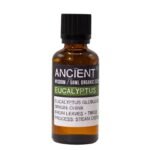 Eukalyptus Bio ätherisches Öl 50 ml – Bio Eukalyptusöl für Aromatherapie & Duftanwendungen – Honigbee Eukalyptus Bio ätherisches Öl 50 ml