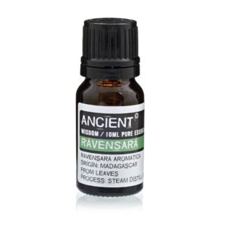 Ravensara Öl 10 ml