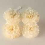Duftdiffuser Blumen Mittelgroße Nelke 4 Stück – Solaholz Duftblumen mit Baumwollschnur – Honigbee Duftdiffuser Blumen Mittelgroße Nelke 4 Stück – Solaholz Duftblumen mit Baumwollschnur