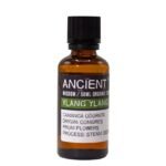 Ylang Ylang Bio ätherisches Öl 50 ml – Bio Ylang-Ylang-Öl für Aromatherapie & Duftanwendungen – Honigbee Ylang Ylang Bio ätherisches Öl 50 ml