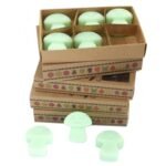 Duftwachs Lakritz 6 Stück – Süße Wax Melts aus Sojawachs als Geschenkset – Honigbee Duftwachs Lakritz 6 Stück – Süße Wax Melts aus Sojawachs als Geschenkset