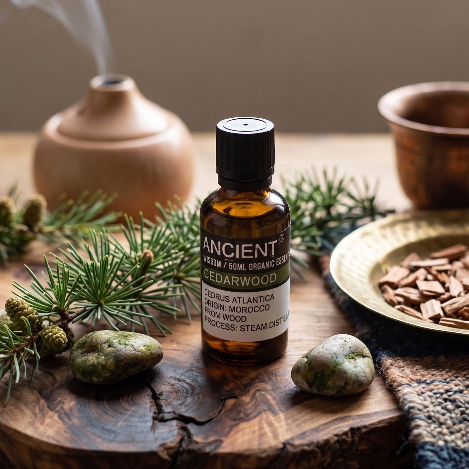 bG9jYWw6Ly9tZWRpYS9TUC8yQy82MFIzMEMxSjZHVjMyQ1NQLzU2ZTI4NjM4LmpwZw.jpg Grapefruit Bio ätherisches Öl 50 ml – Bio Grapefruitöl für Aromatherapie & Duftanwendungen